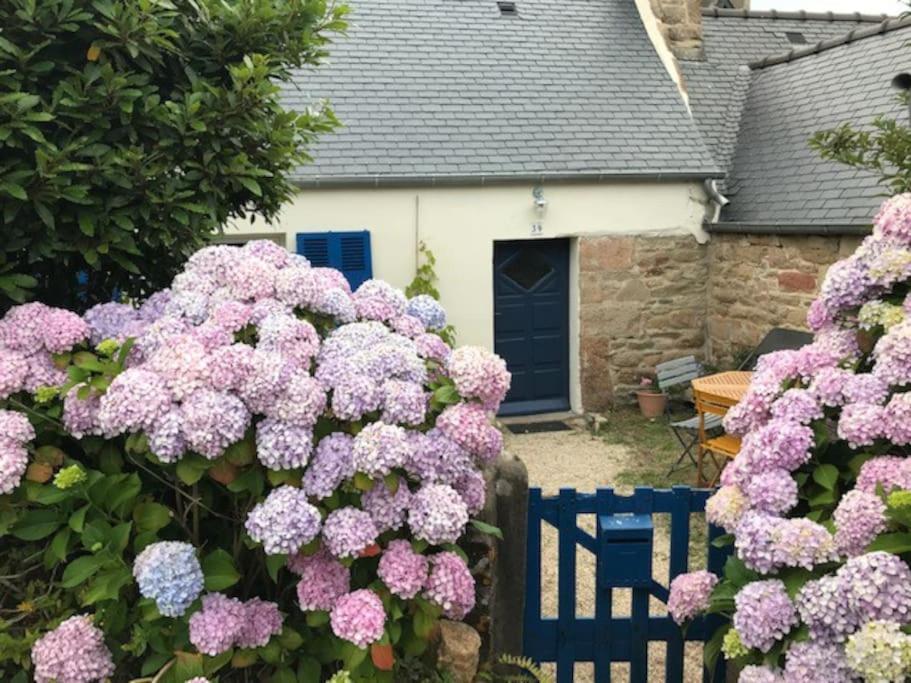 Charmante Maison De Pecheurs Trébeurden Εξωτερικό φωτογραφία